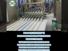 PD1000 LIGNE DE PRODUCTION D'EXTRUSSION DE MARSHMALLOW La fabrication de machines et équipements pour la fabrication de marshmallows