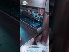 PD1000 ligne de production de biscuits à double couleur entièrement automatique